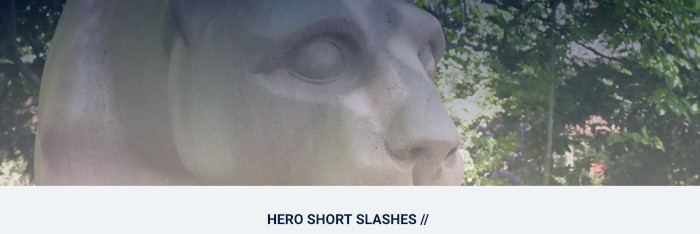 Hero - Short - Slashes graphic