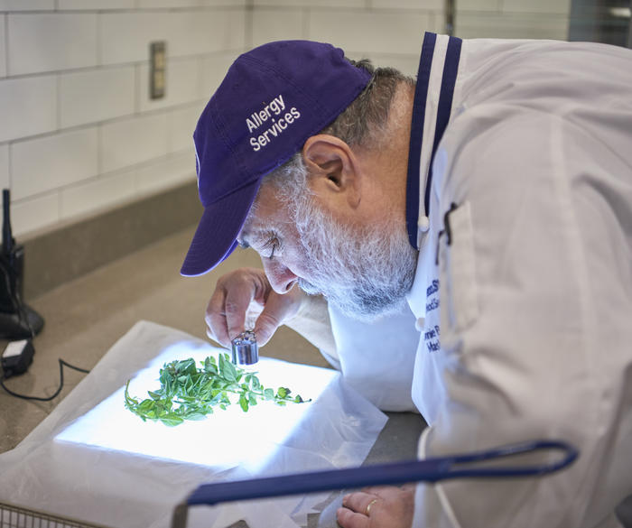 Dietitian employee examining a green plant